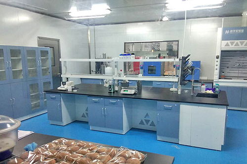 食品行業凈化車間方案設計與企業策劃全解析